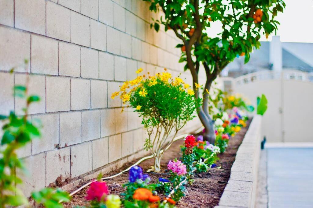 La Sunny House Beautiful Yard 7 Rooms 4 Bathrooms Near Disneyland & Hollywood & Downtown Hacienda Heights Exteriér fotografie